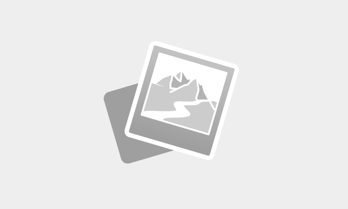 LEVER Body Weight Support System