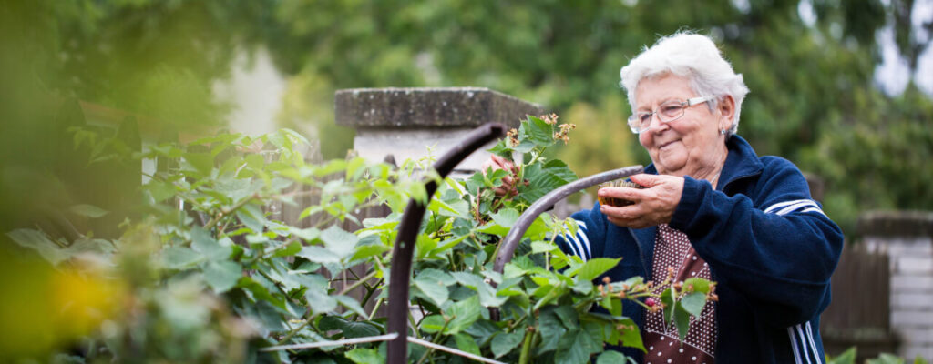 Maintaining Independence in Aging: The Role of Physical Therapy